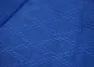 Preview: adidas Judoanzug Millenium blau/silbernes Logo Webung