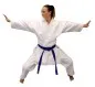 Preview: Karate suit Next Generation