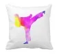 Preview: Cushion watercolour karate