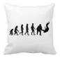 Preview: Evolution Judo cushion
