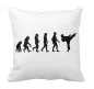 Preview: Pillow Evolution Karate Taekwondo