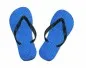 Preview: Flip Flops Judoanzug blau