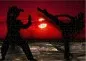Preview: Puzzle karate puesta de sol