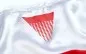 Preview: adidas Kickbox Shirt 100S rot | weiß Rückenlogo