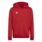 Preview: adidas Hoodie Entrada 22 rot
