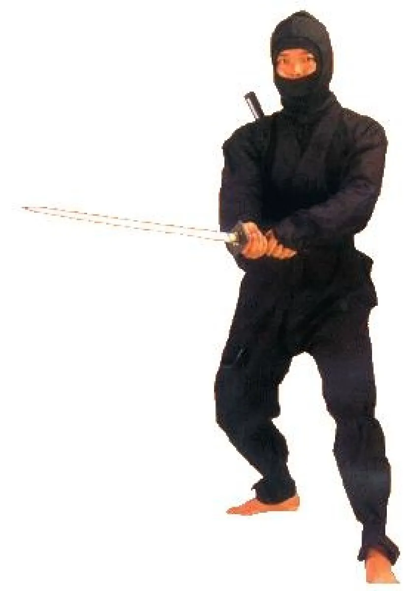 Ninja suit