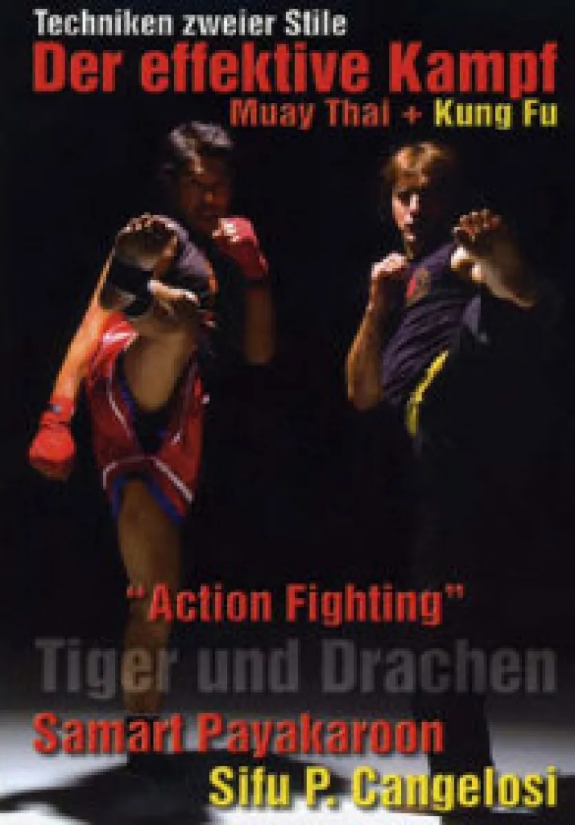 Der effektive Kampf - Muay Thai + Kung Fu
