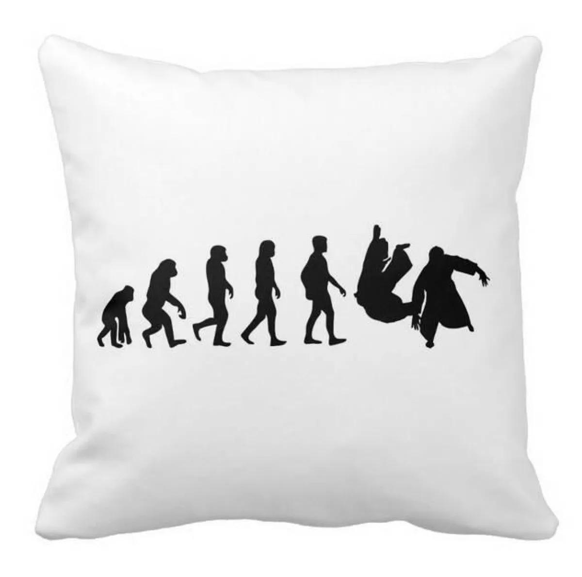 Evolution Aikido cushion