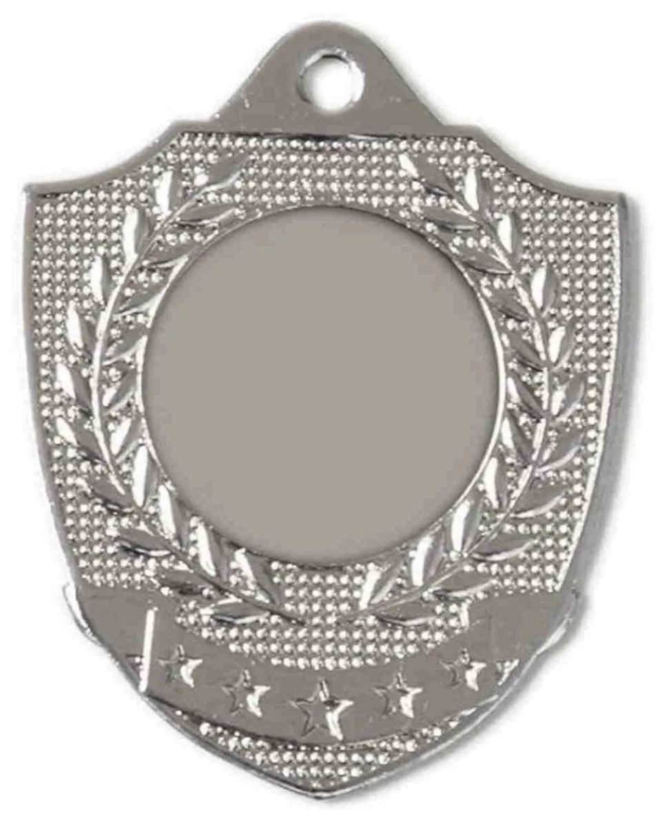 Médaille de fer diamètre 50 x 45 mm, en or, argent et bronze