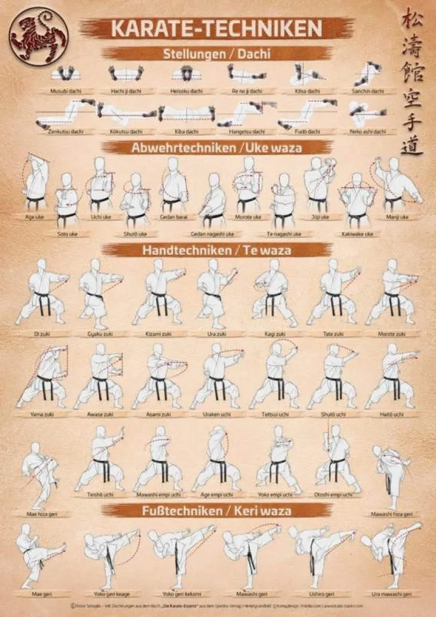 Poster Karate Techniken