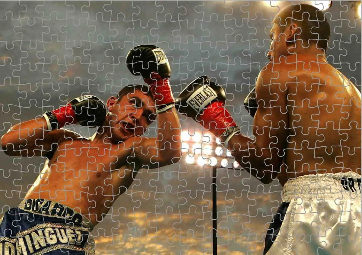 Puzzle boxing match