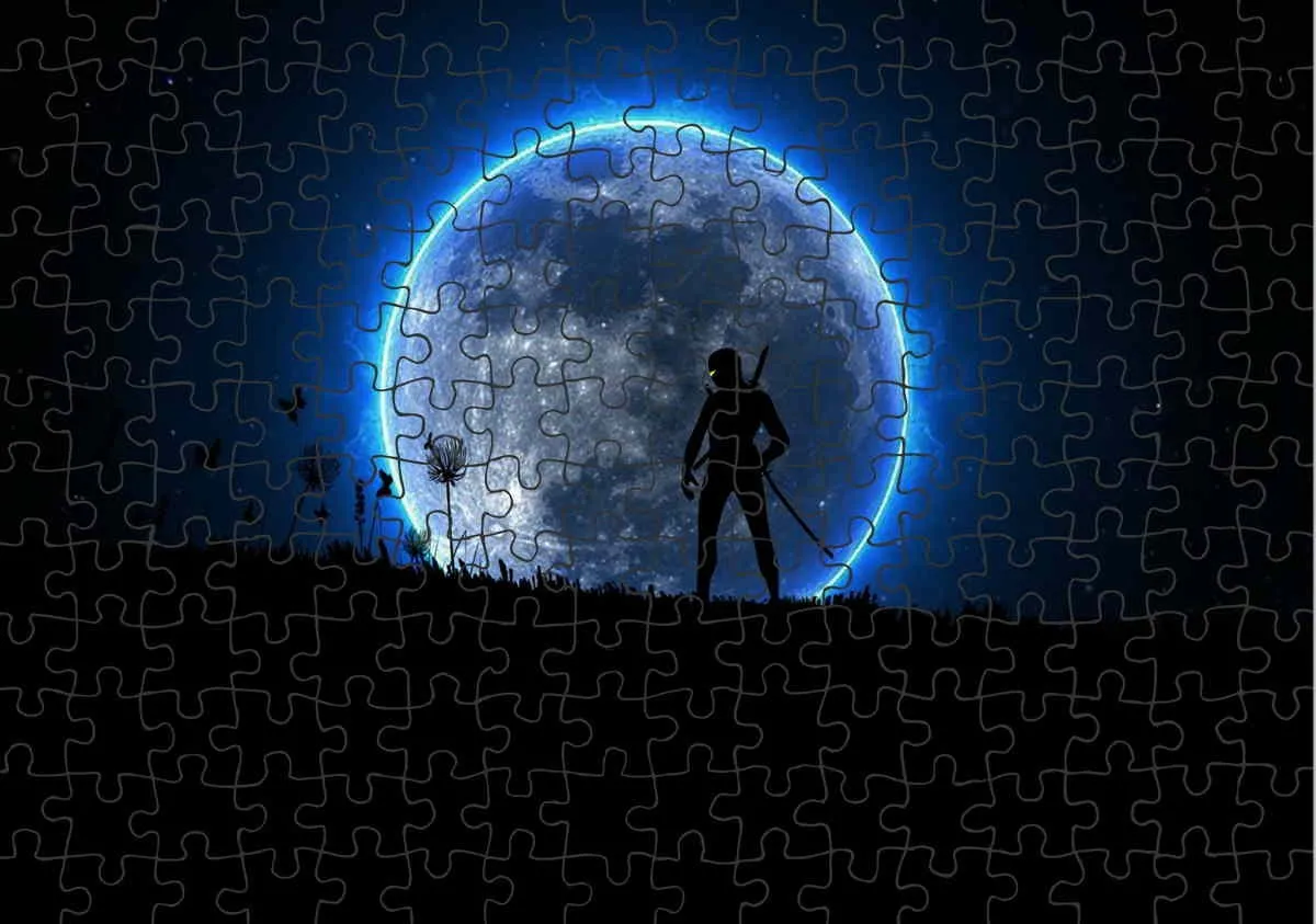 Puzzle moon with ninja
