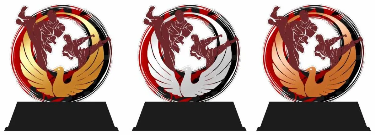 Acrylic trophy Wado Ryu Karate