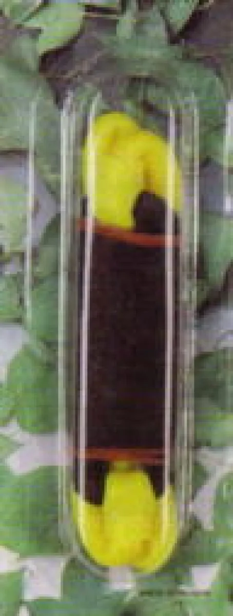 Recambio goma amarilla para tirachinas 10-40777
