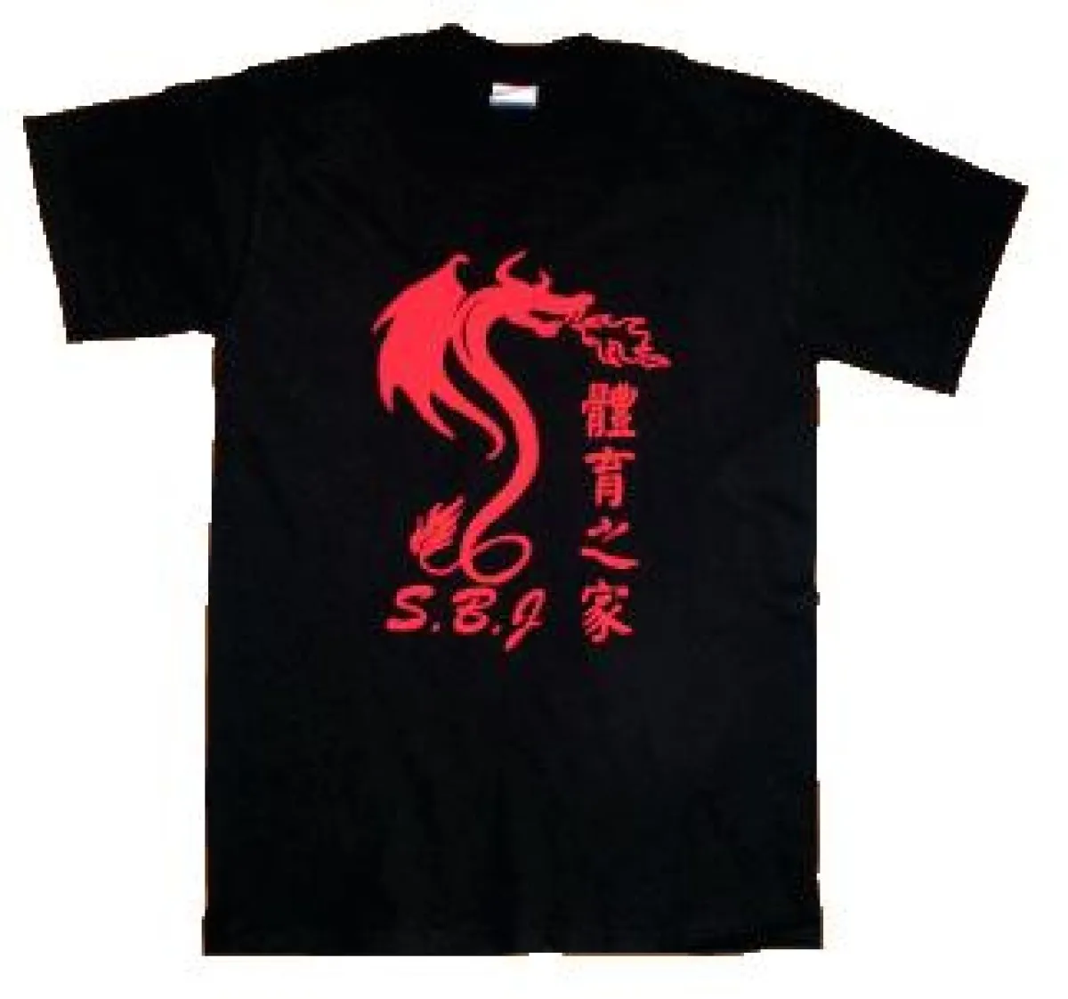 Camiseta Dragón