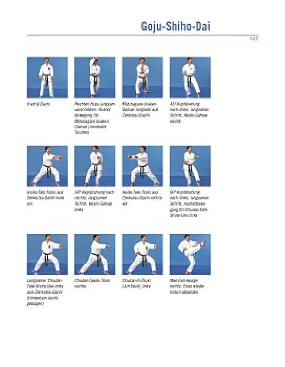 Karate Do - Philosophie der leeren Hand als Praxis - Band 3