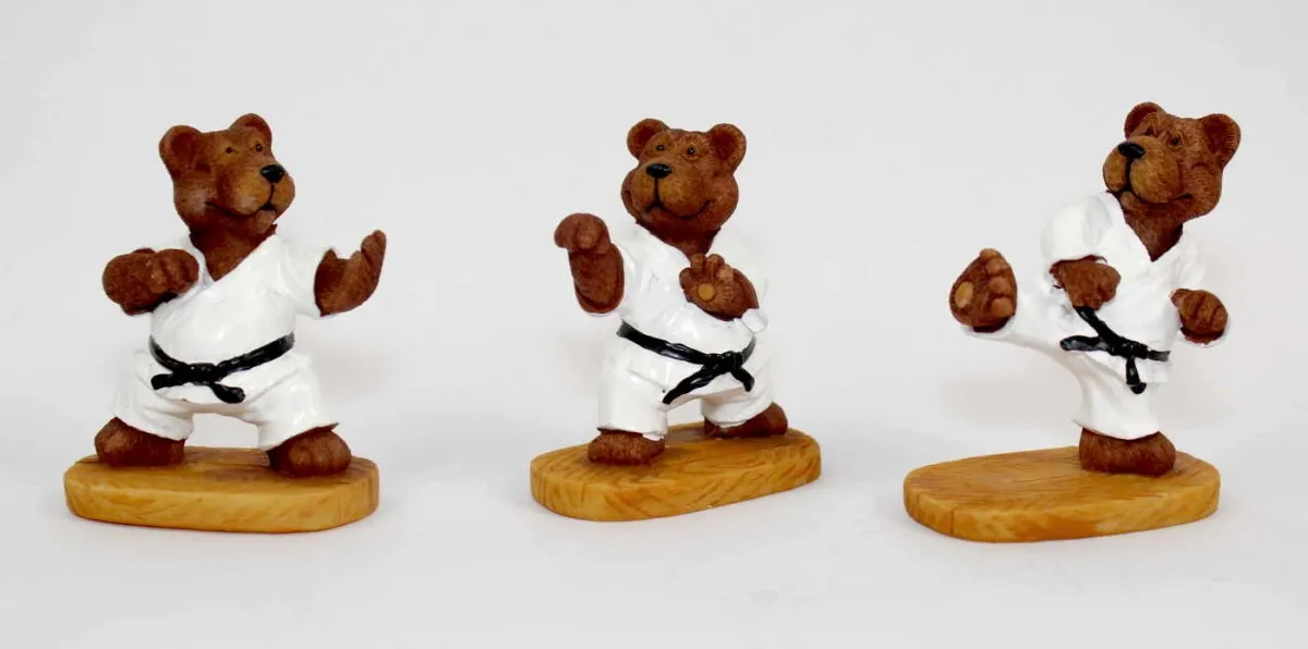 Karate Bären Set