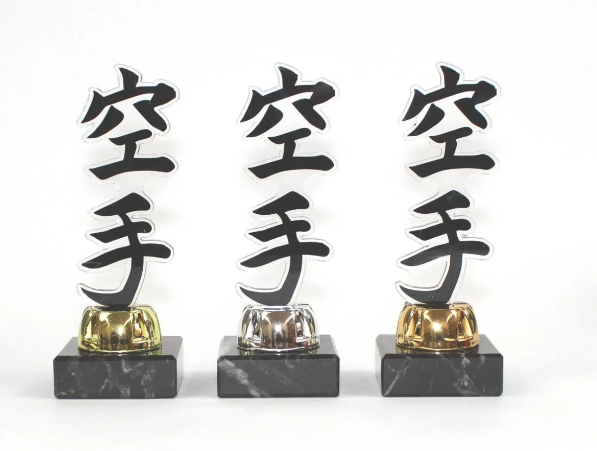 Acrylic trophy karate