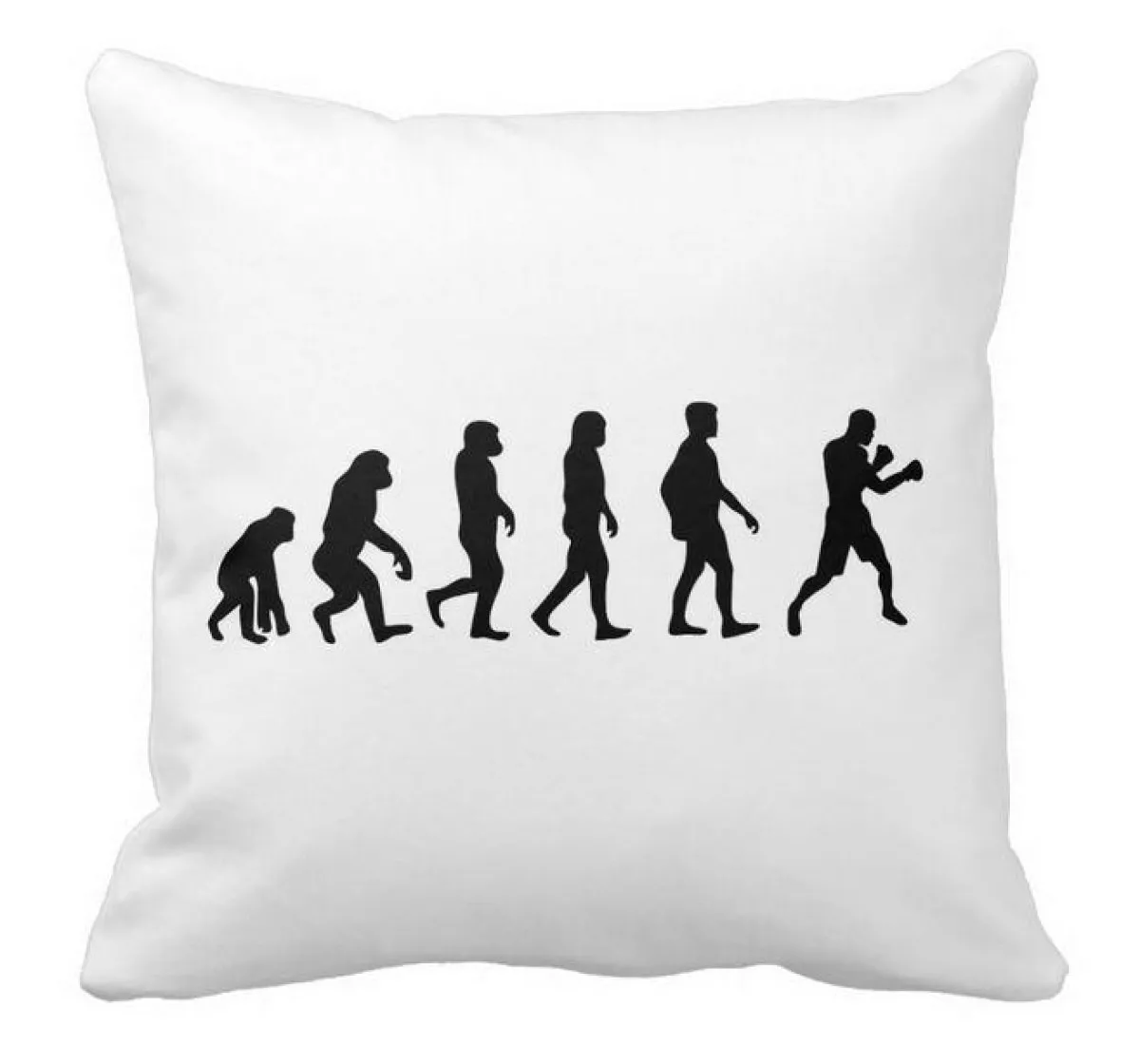 Evolution Boxing cushion