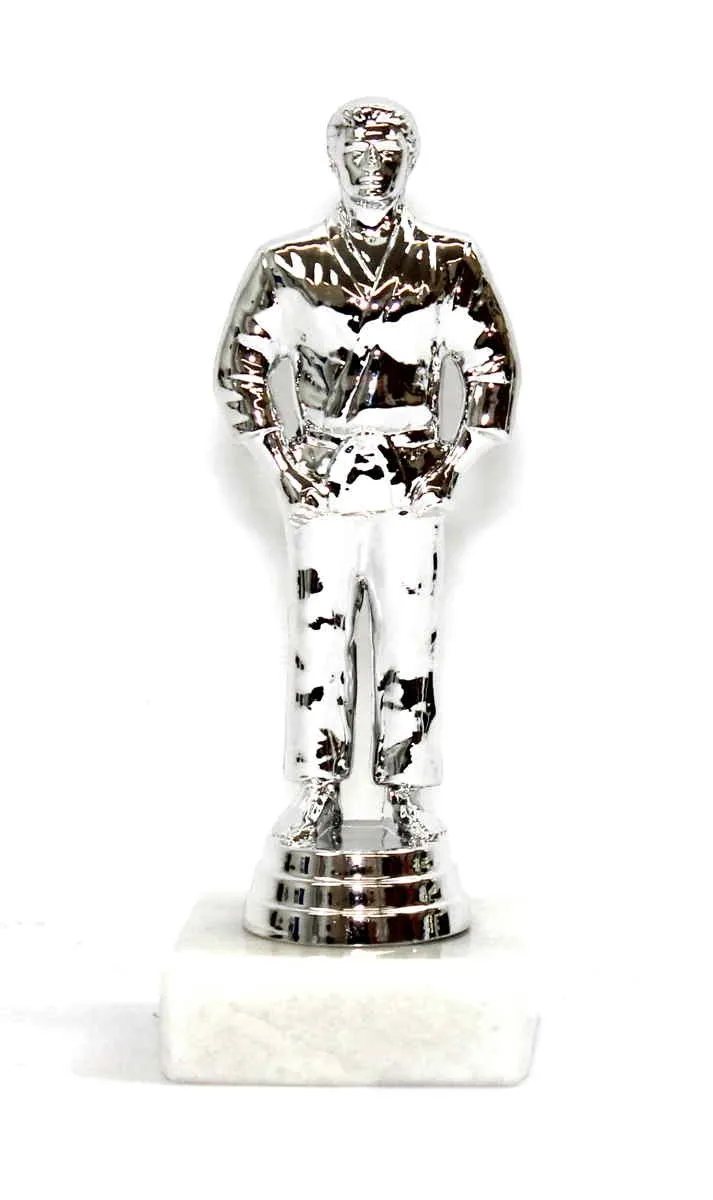 Trofeo artes marciales plata 14 cm
