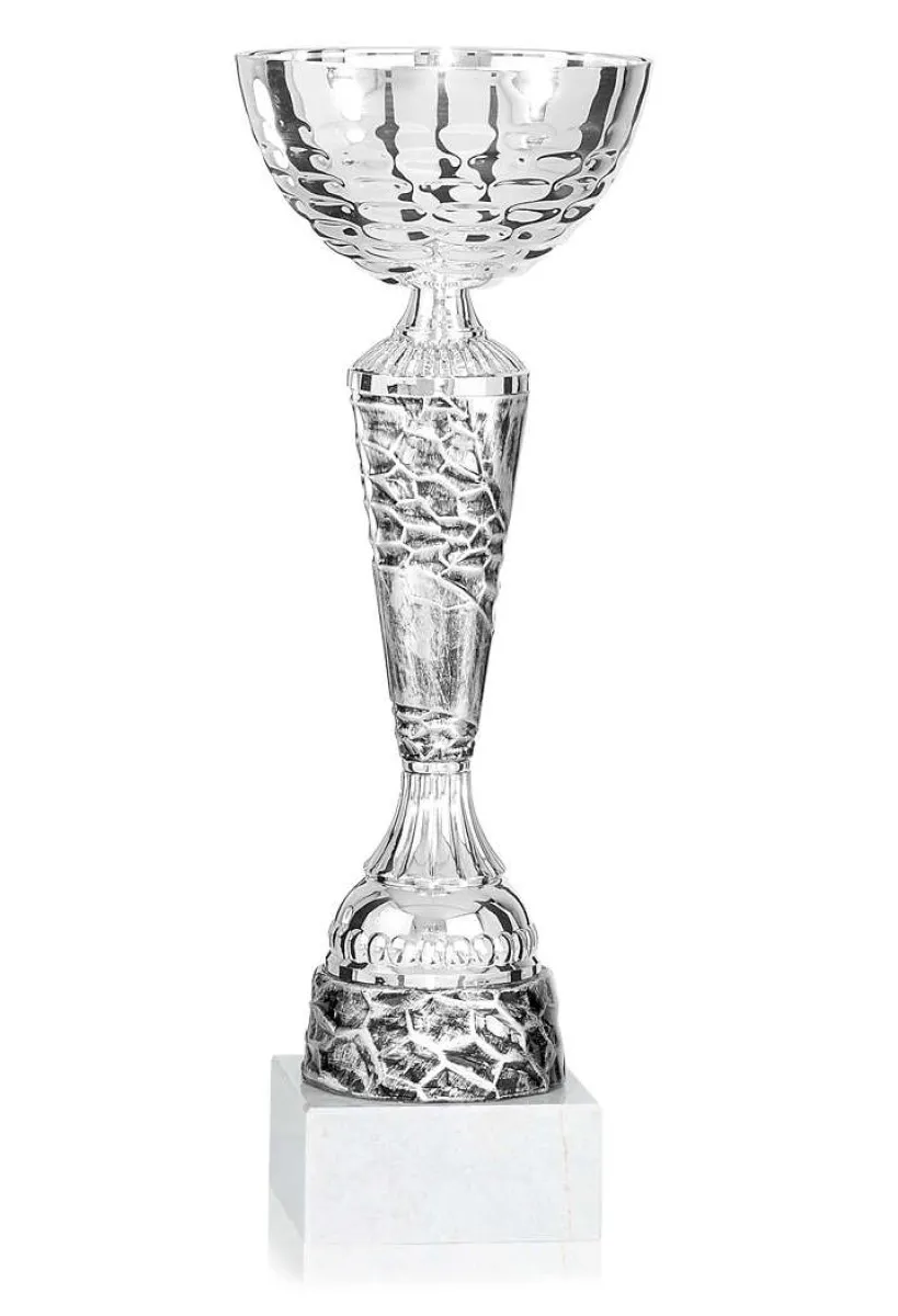 Silver goblet with frosted base
