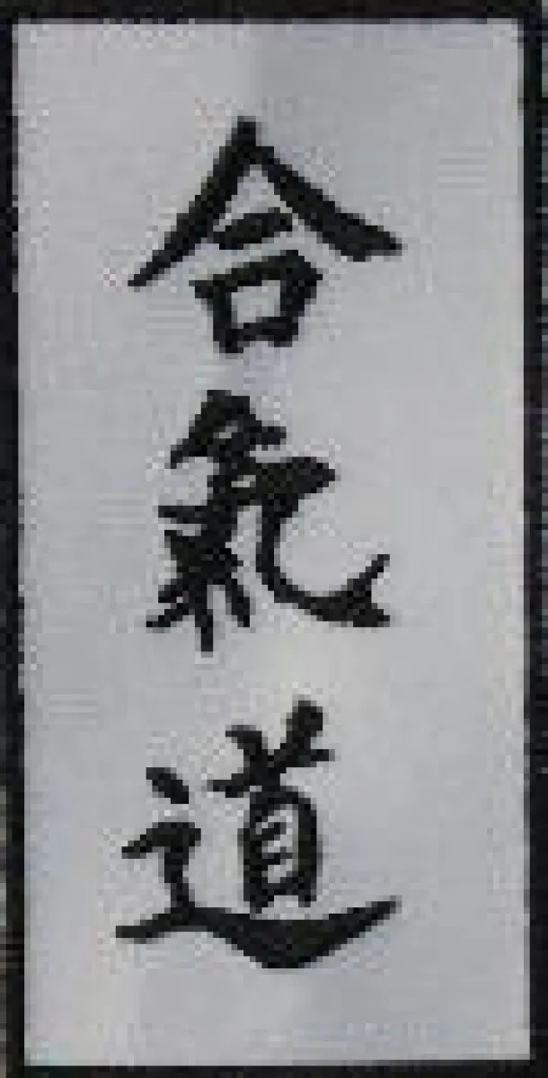 Aikido embroidery badge