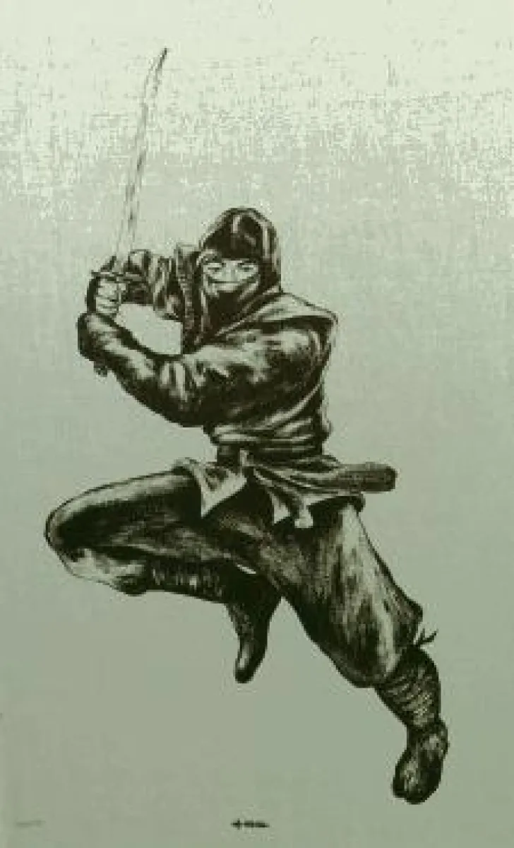 Stoffbild Ninja