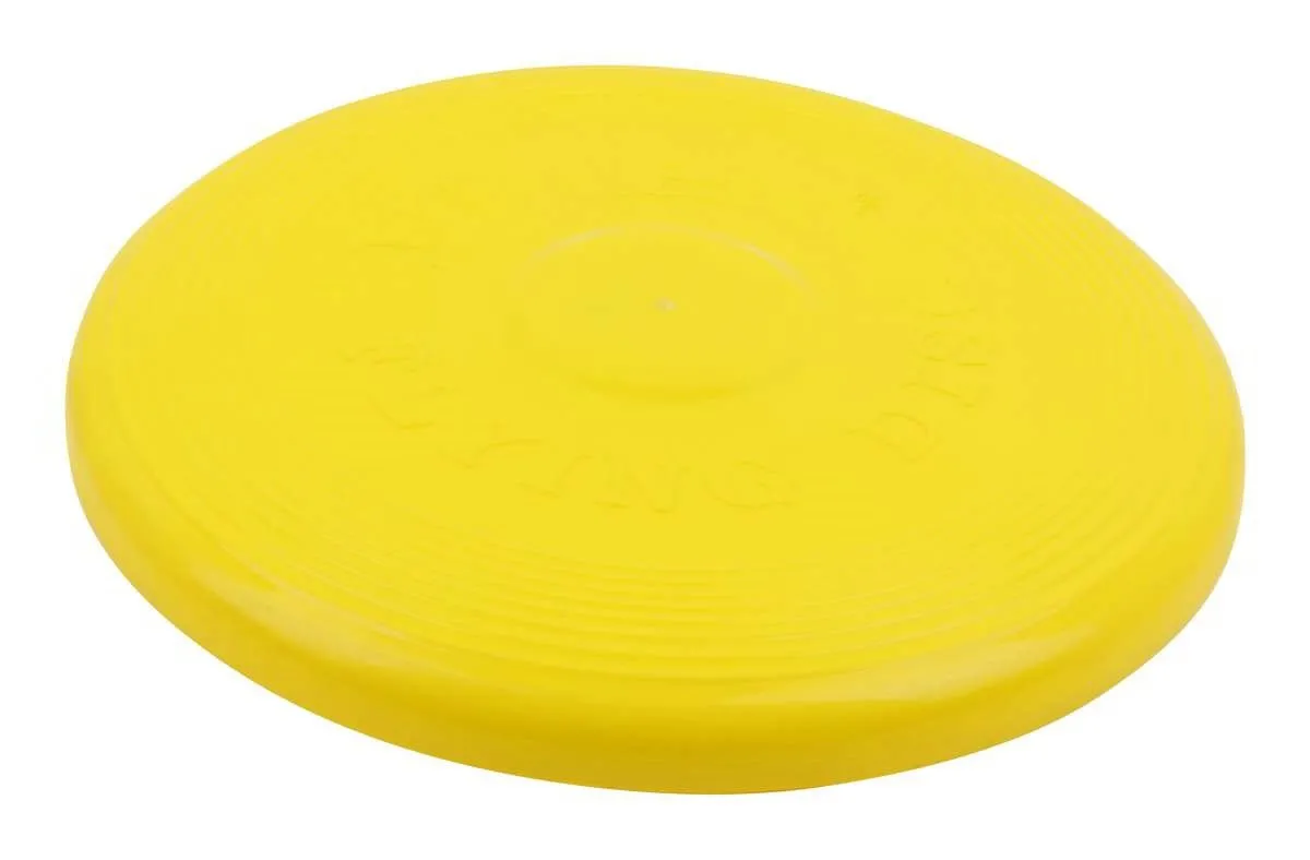 Frisbee throwing disc size 27 cm