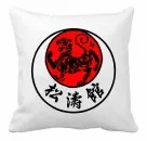 Shotokan Karate cushion