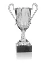 Silver plastic trophy with marble base