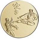 Emblem Karate in gold