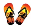 Flip flops sunset - palm tree