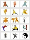 Jeu de memo Kung Fu et Tai Chi