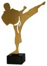 Metal karate trophy in gold