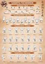 Cartel Tecnicas de karate