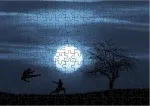 Puzzle karate by moonlight