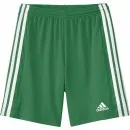 adidas Shorts Squadra 21 grün/weiß