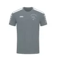 Camiseta JAKO Power Brandenburger Kampfsportverein gris